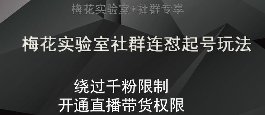 梅花实验室社群连怼起号玩法，视频号绕过千粉限制，开通直播带货权限【揭秘】-小鹏项目网