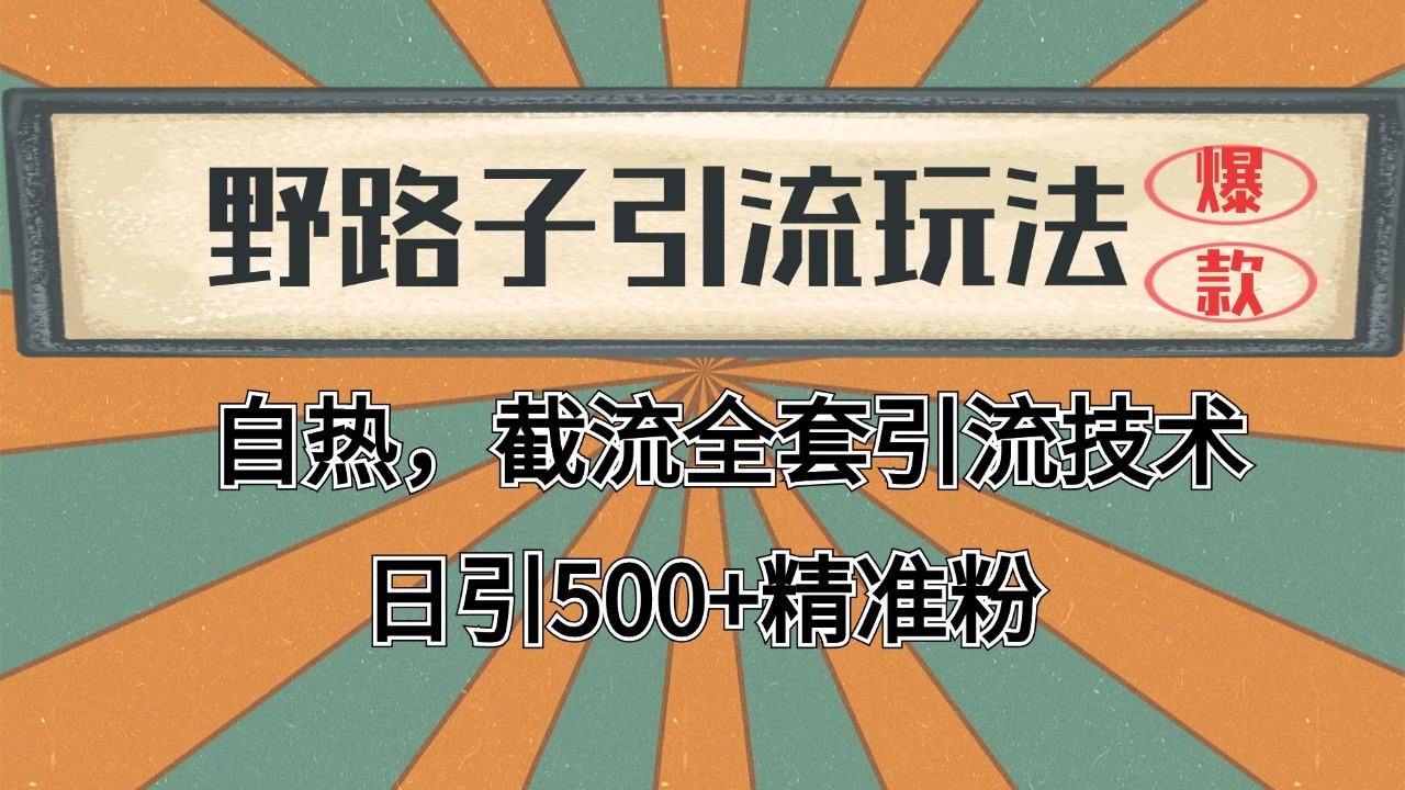 抖音小红书视频号全平台引流打法，全自动引流日引2000+精准客户-小鹏项目网