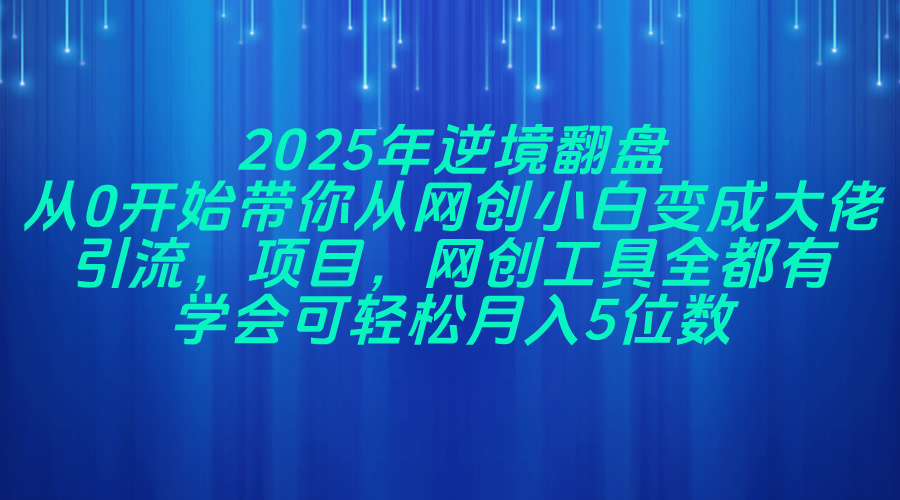 2025年逆境翻盘，从0开始带你从网创小白变成大佬，引流，项目，网创工...-小鹏项目网