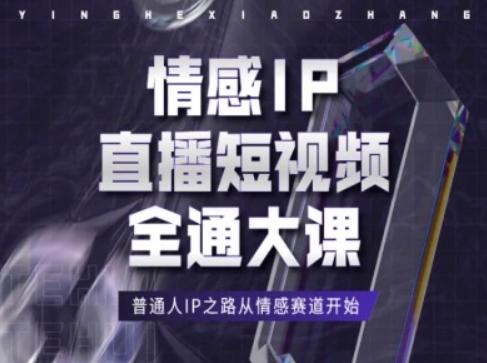 情感IP直播短视频全通大课，普通人IP之路从情感赛道开始-小鹏项目网
