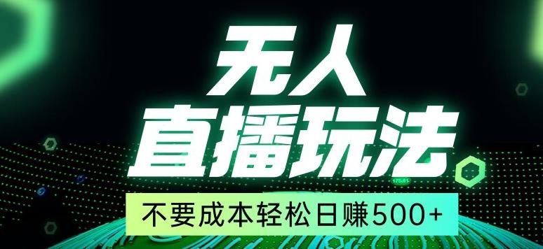 全网首发24年最新无人直播玩法，不需要成本，无需人力，一台电脑24小时为你工作-小鹏项目网