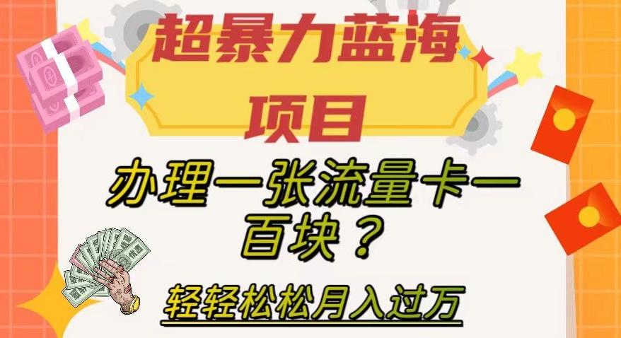 超暴力蓝海项目，办理一张流量卡一百块？轻轻松松月入过万，保姆级教程【揭秘】-小鹏项目网