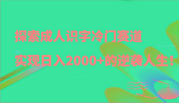 探索成人识字冷门赛道，实现日入2000+的逆袭人生！-小鹏项目网