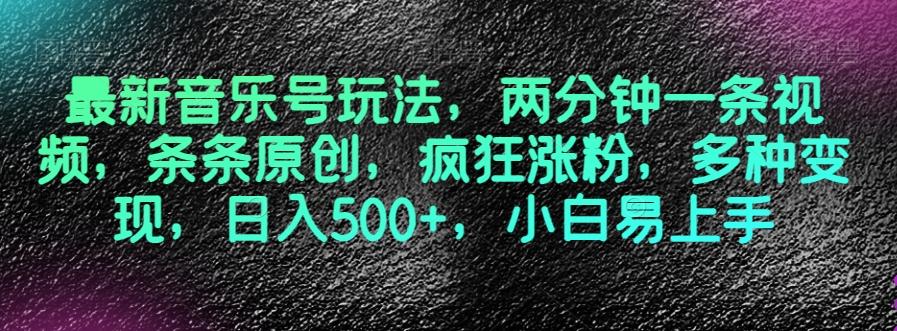 最新音乐号玩法，两分钟一条视频，条条原创，疯狂涨粉，多种变现，日入500+，小白易上手【揭秘】-小鹏项目网