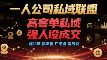 一人公司私域联盟，高客单私域，强人设成交，建私域 搞发售 广结盟 造势能-小鹏项目网