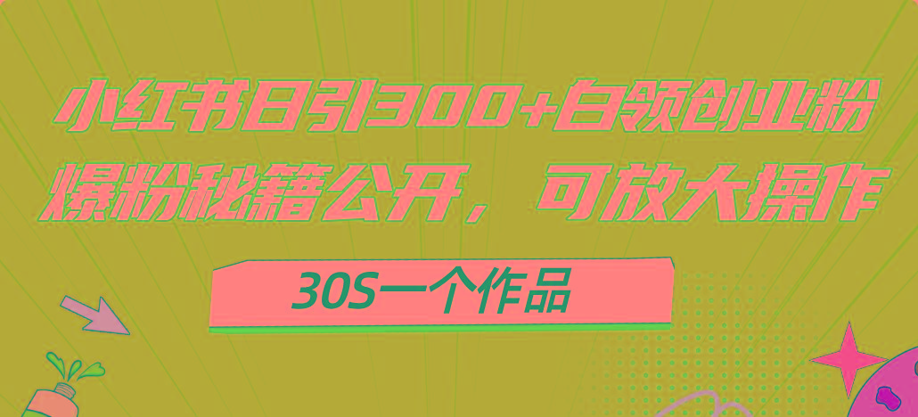 小红书日引300+高质白领创业粉，可放大操作，爆粉秘籍！30s一个作品-小鹏项目网