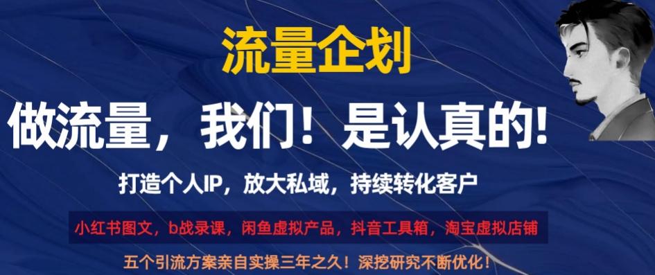 流量企划，打造个人IP，放大私域，持续转化客户【揭秘】-小鹏项目网
