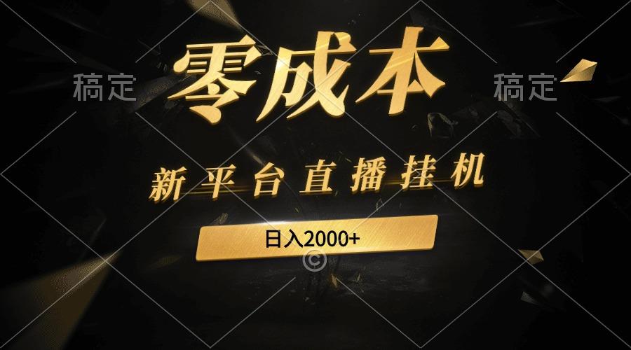 (9841期)新平台直播挂机最新玩法，0成本，不违规，日入2000+-小鹏项目网