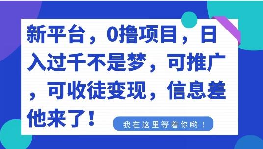 不要再花冤枉钱了，0撸项目，每天坚持，稳定1000+-小鹏项目网