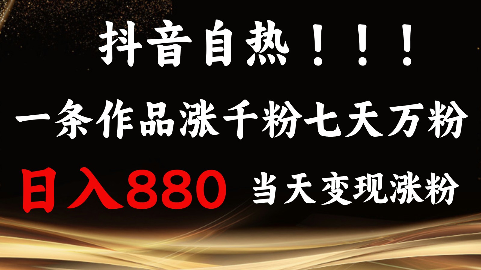 抖音小红书自热，一条作品1000粉，7天万粉，单日变现880收益-小鹏项目网