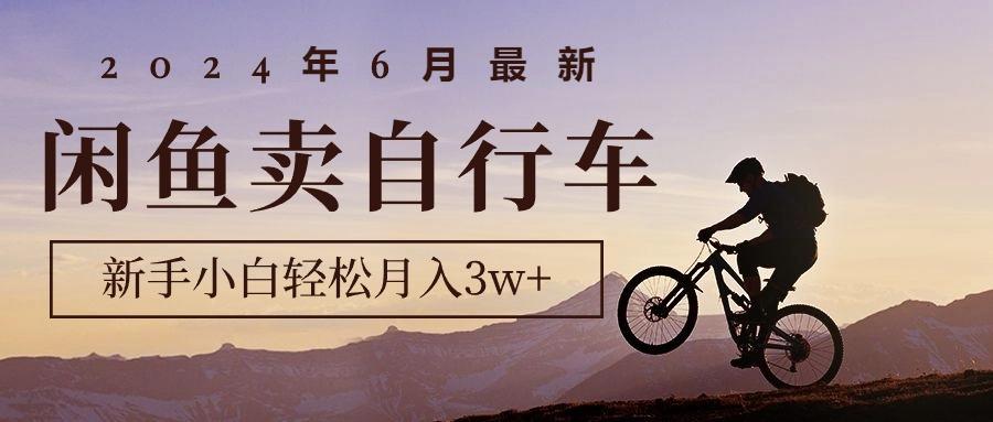 2024年6月最新闲鱼卖自行车，新手小白轻松月入3w+项目-小鹏项目网