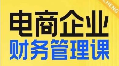 电商企业财务管理线上课，为电商企业规划财税-小鹏项目网