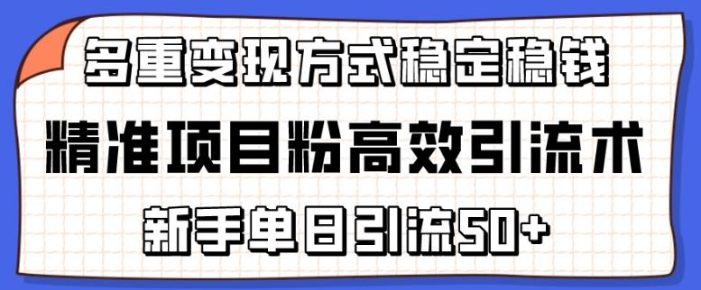 精准项目粉高效引流术，新手单日引流50+，多重变现方式稳定赚钱【揭秘】-小鹏项目网