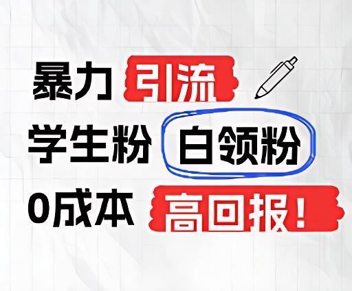 暴力引流学生粉白领粉，吊打以往垃圾玩法，0成本，高回报-小鹏项目网
