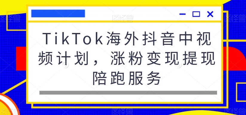 TikTok海外抖音中视频计划，涨粉变现提现陪跑服务-小鹏项目网