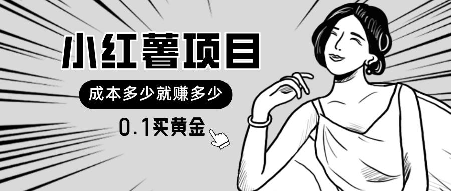 小红薯暴力项目，0.1买黄金。操作简单，日入无上限，可无限扩大。-小鹏项目网