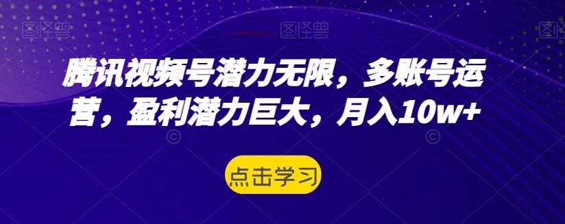 腾讯视频号潜力无限，多账号运营，盈利潜力巨大，月入10w+-小鹏项目网