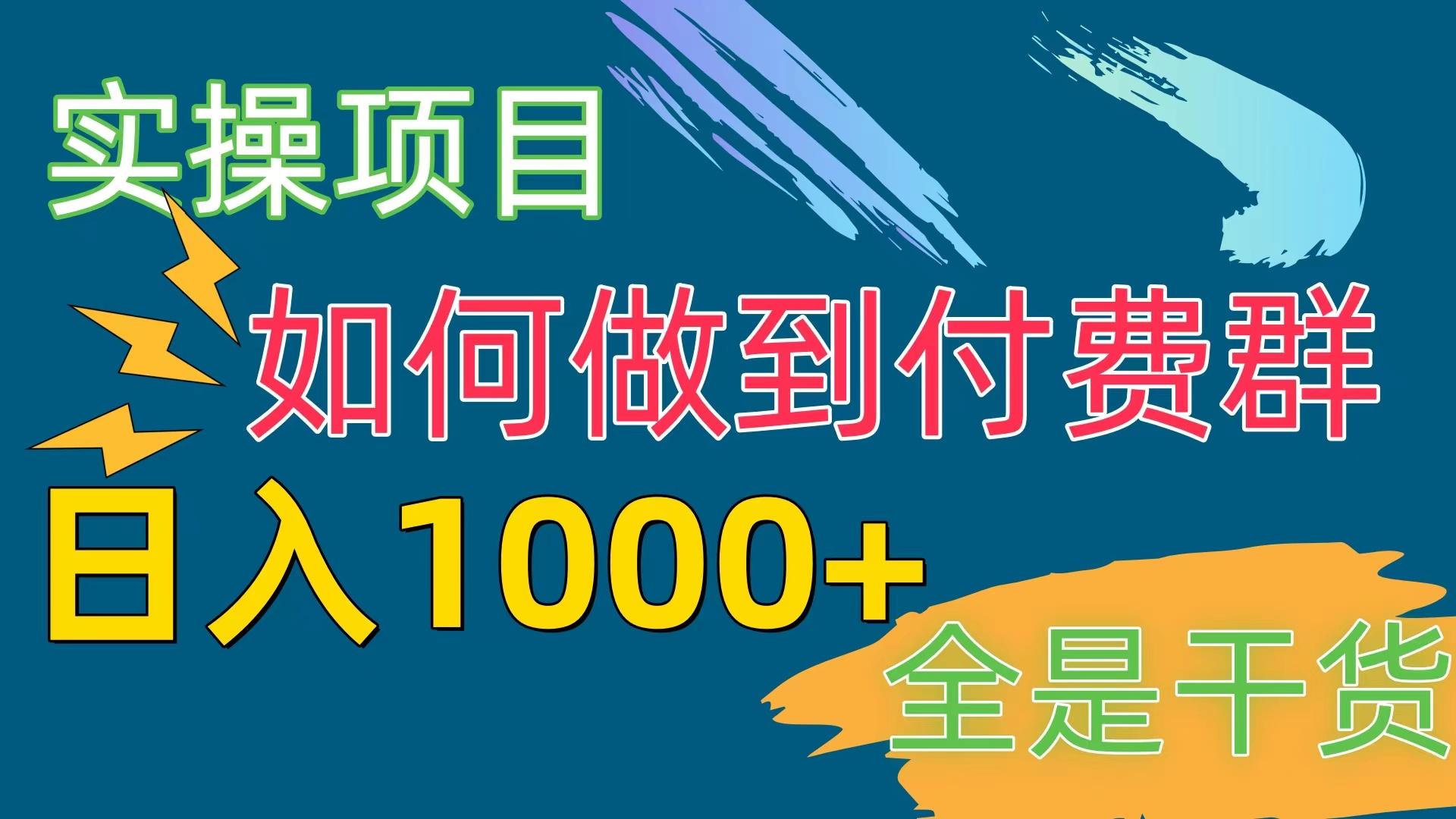 [实操项目]付费群赛道，日入1000+-小鹏项目网