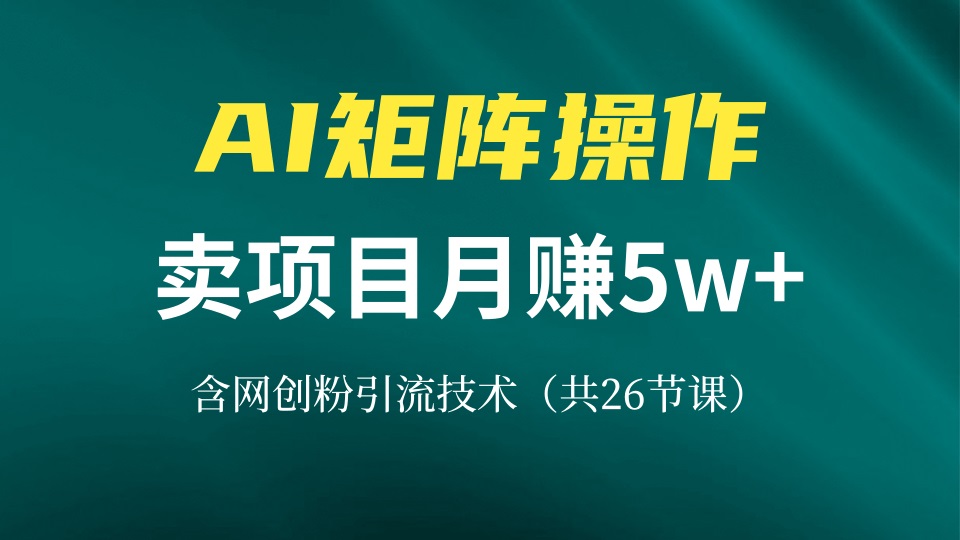 网创IP打造课，借助AI卖项目月赚5万+，含引流技术(共26节课-小鹏项目网