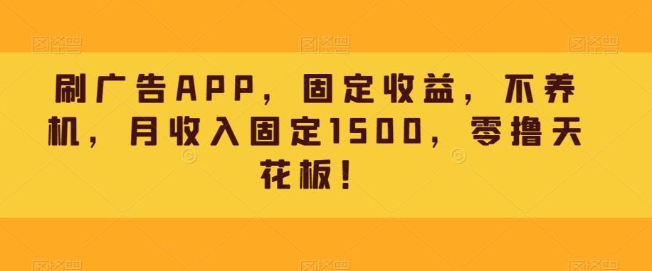 刷广告APP，固定收益，不养机，月收入固定1500，零撸天花板！-小鹏项目网
