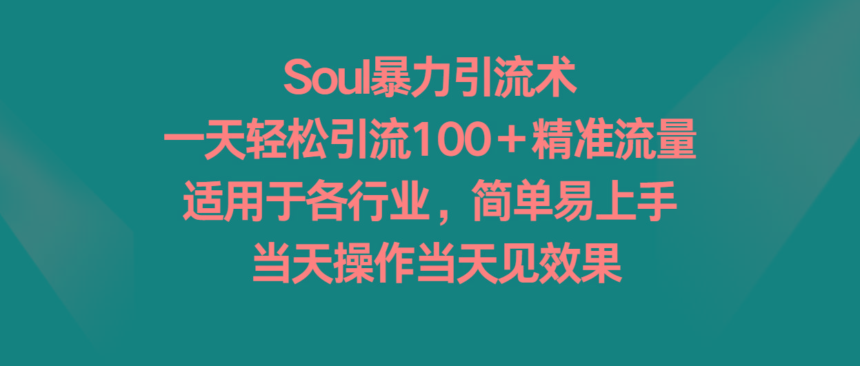 Soul暴力引流术，一天轻松引流100＋精准流量，适用于各行业，简单易上手！-小鹏项目网