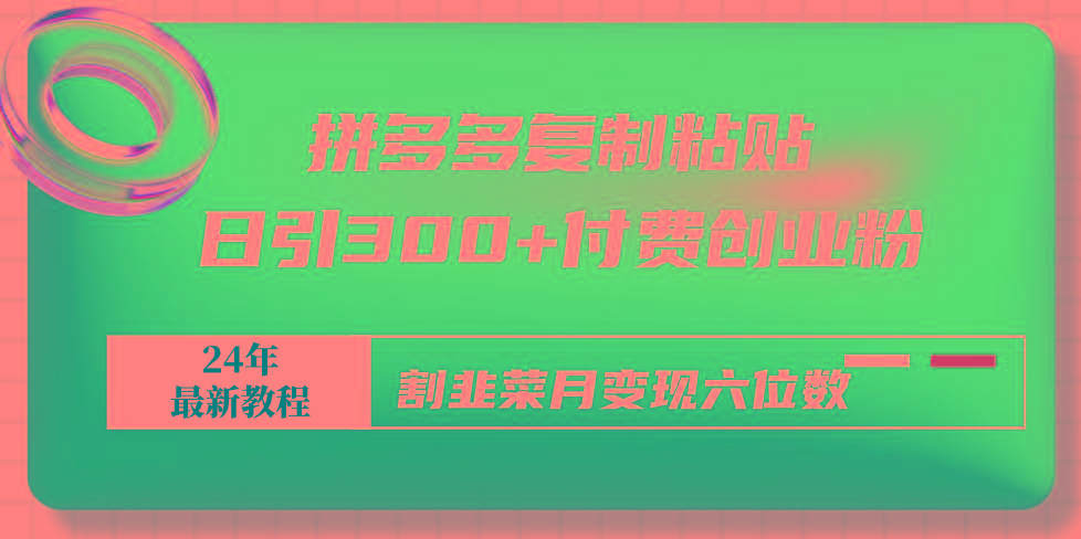 拼多多复制粘贴日引300+付费创业粉，割韭菜月变现六位数最新教程！-小鹏项目网
