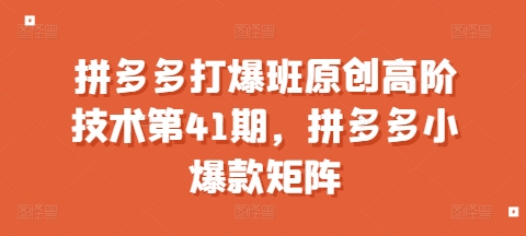 拼多多打爆班原创高阶技术第41期，拼多多小爆款矩阵-小鹏项目网