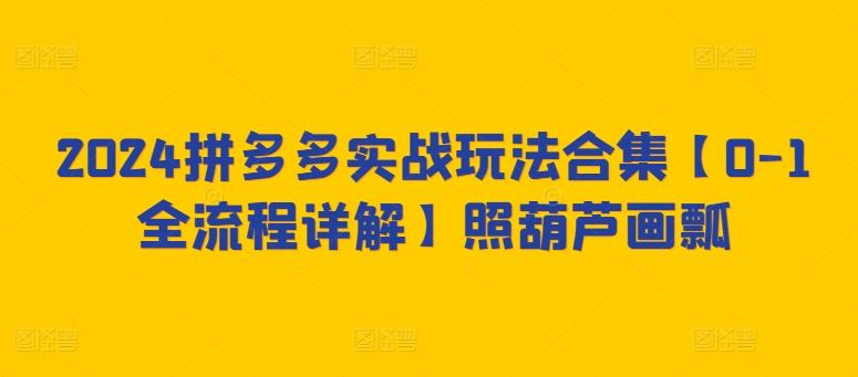 2024拼多多实战玩法合集【0-1全流程详解】照葫芦画瓢-小鹏项目网