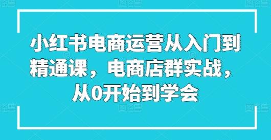 小红书电商运营从入门到精通课，电商店群实战，从0开始到学会-小鹏项目网