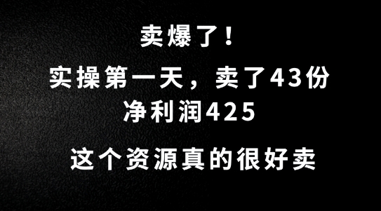 这个资源，需求很大，实操第一天卖了43份，净利润425【揭秘】-小鹏项目网