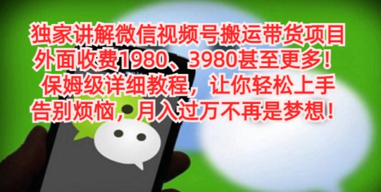 独家讲解微信视频号搬运带货项目，保姆级详细教程-小鹏项目网