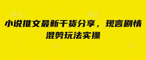 小说推文最新干货分享，现言剧情混剪玩法实操-小鹏项目网