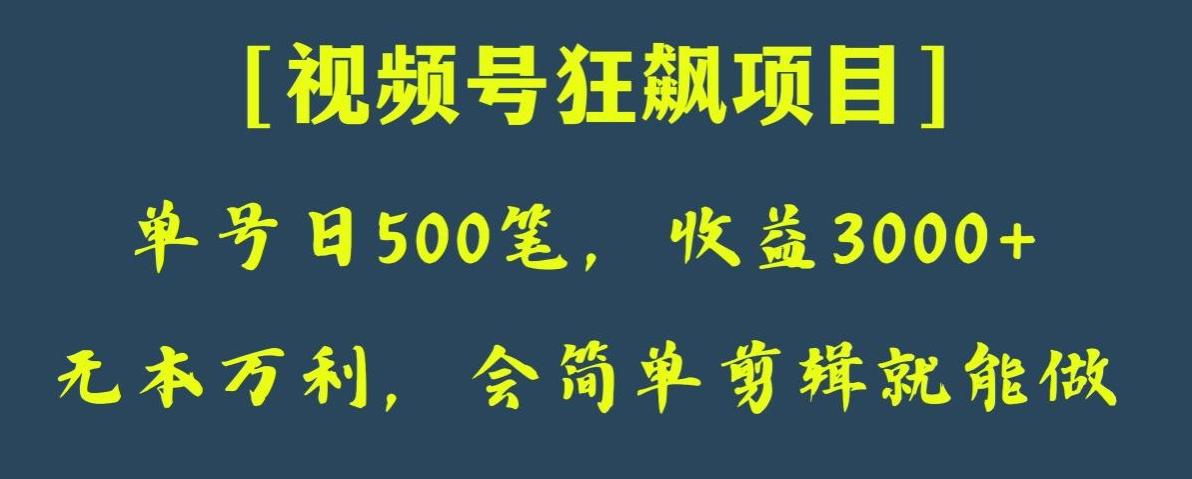 日收款500笔，纯利润3000+，视频号狂飙项目，会简单剪辑就能做【揭秘】-小鹏项目网