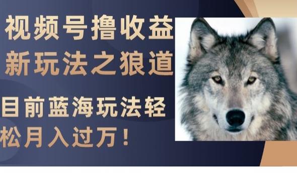 视频号撸收益新玩法之狼道，目前蓝海玩法，轻松月入过万【揭秘】-小鹏项目网