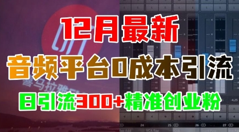12月最新：音频平台0成本引流，日引流300+精准创业粉-小鹏项目网