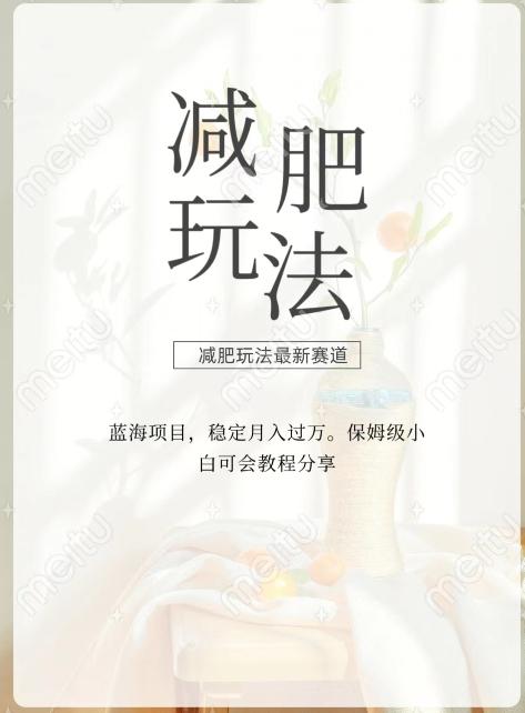 减肥流量主新玩法，轻松月入1W，可矩阵操作收入翻倍-小鹏项目网