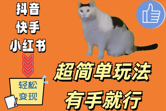 超简单玩法，有手就行，靠猫咪视频日入500+【揭秘】-小鹏项目网