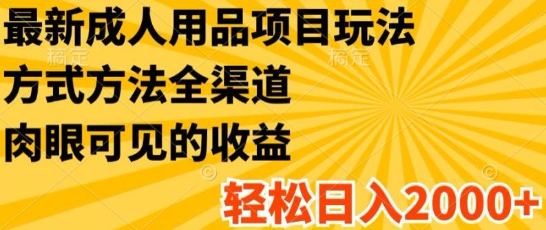 最新成人用品项目玩法，方式方法全渠道，轻松日入2K+【揭秘】-小鹏项目网