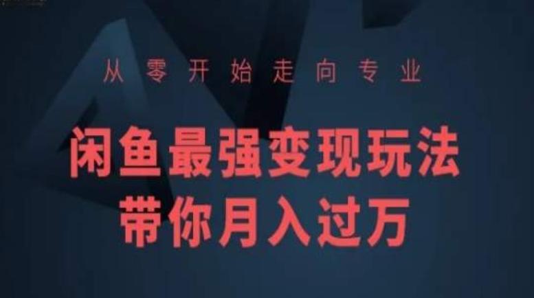 从零开始走向专业，闲鱼最强变现玩法带你月入过万-小鹏项目网