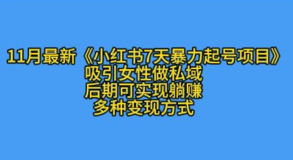 K总部落11月最新小红书7天暴力起号项目，吸引女性做私域【揭秘】-小鹏项目网