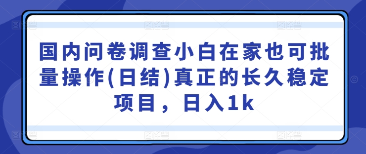 国内问卷调查小白在家也可批量操作(日结)真正的长久稳定项目，日入1k【揭秘】-小鹏项目网