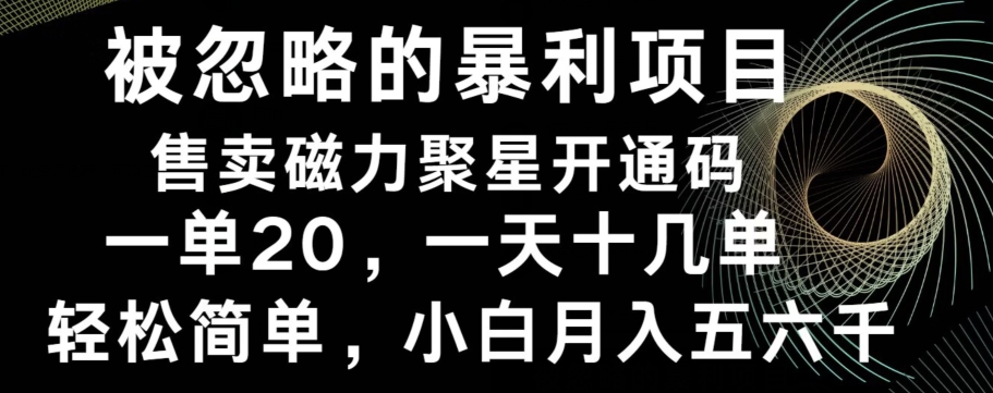 被忽略的暴利项目！售卖磁力聚星开通码，一单20，一天十几单，轻松月入五六千-小鹏项目网