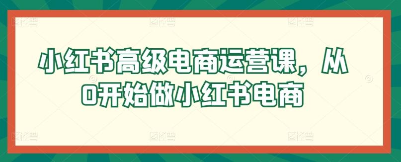 小红书高级电商运营课，从0开始做小红书电商-小鹏项目网