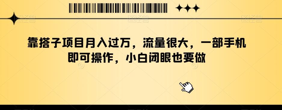 靠搭子项目月入过万，流量很大，一部手机即可操作，小白闭眼也要做-小鹏项目网