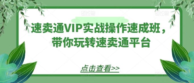 速卖通VIP实战操作速成班，带你玩转速卖通平台-小鹏项目网