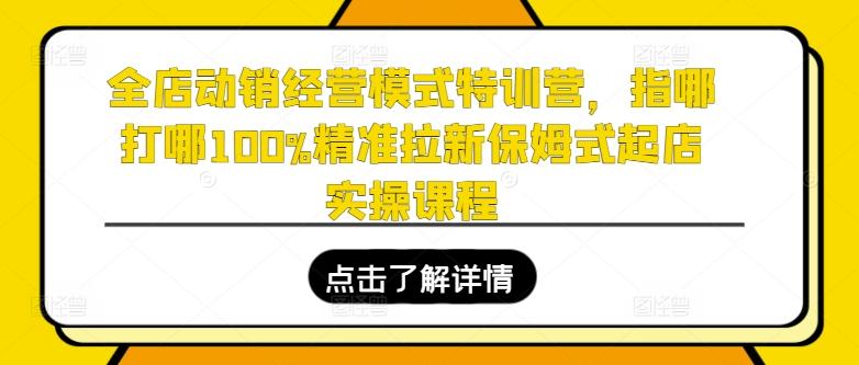 全店动销经营模式特训营，指哪打哪100%精准拉新保姆式起店实操课程-小鹏项目网