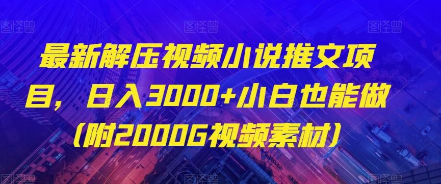最新解压视频小说推文项目，日入3000+小白也能做（附2000G视频素材）【揭秘】-小鹏项目网