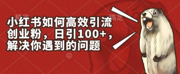 小红书如何高效引流创业粉，日引100+，解决你遇到的问题【揭秘】-小鹏项目网