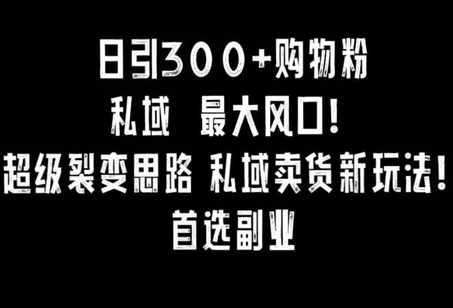 日引300+购物粉，超级裂变思路，私域卖货新玩法，小红书首选副业【揭秘】-小鹏项目网