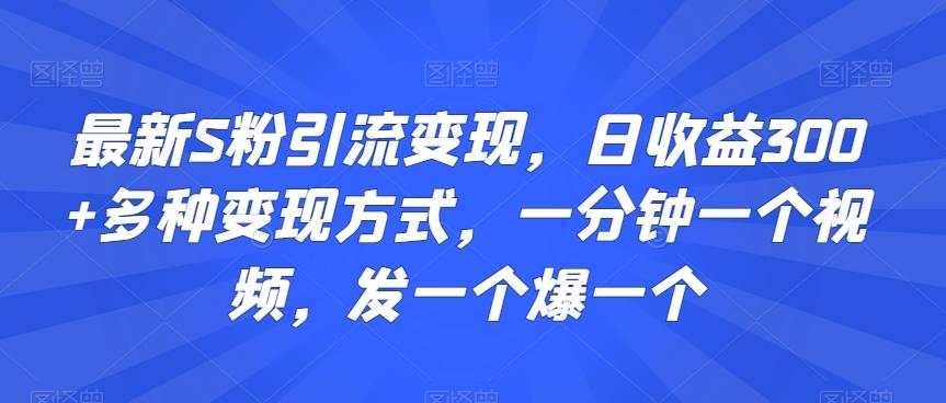 最新S粉引流变现，日收益300+多种变现方式，一分钟一个视频，发一个爆一个【揭秘】-小鹏项目网